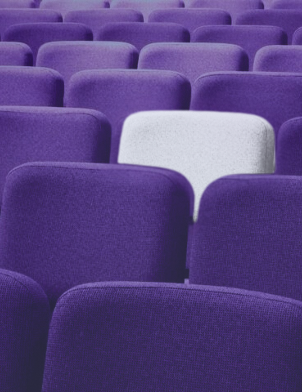 Detalhe Consciente, agência de gestão de bastidores para negócios conscientes